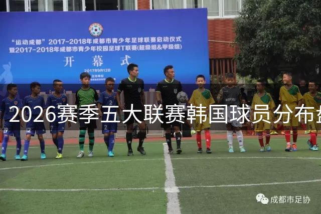 2026赛季五大联赛韩国球员分布盘点